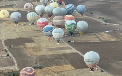 事務所ニュース2025年11月