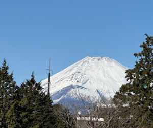 事務所ニュース2026年1月