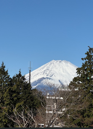 事務所ニュース2026年1月