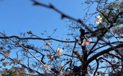 事務所ニュース2026年2月