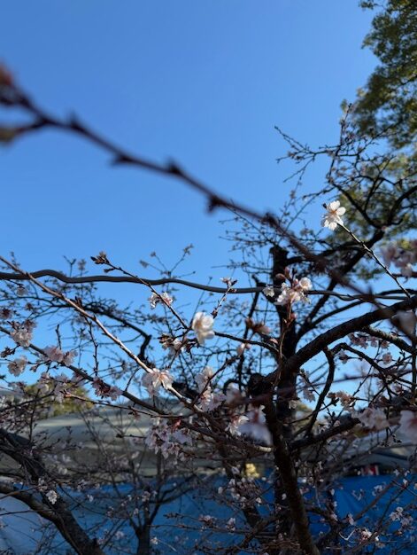 事務所ニュース2026年2月