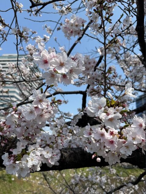 事務所ニュース2026年4月
